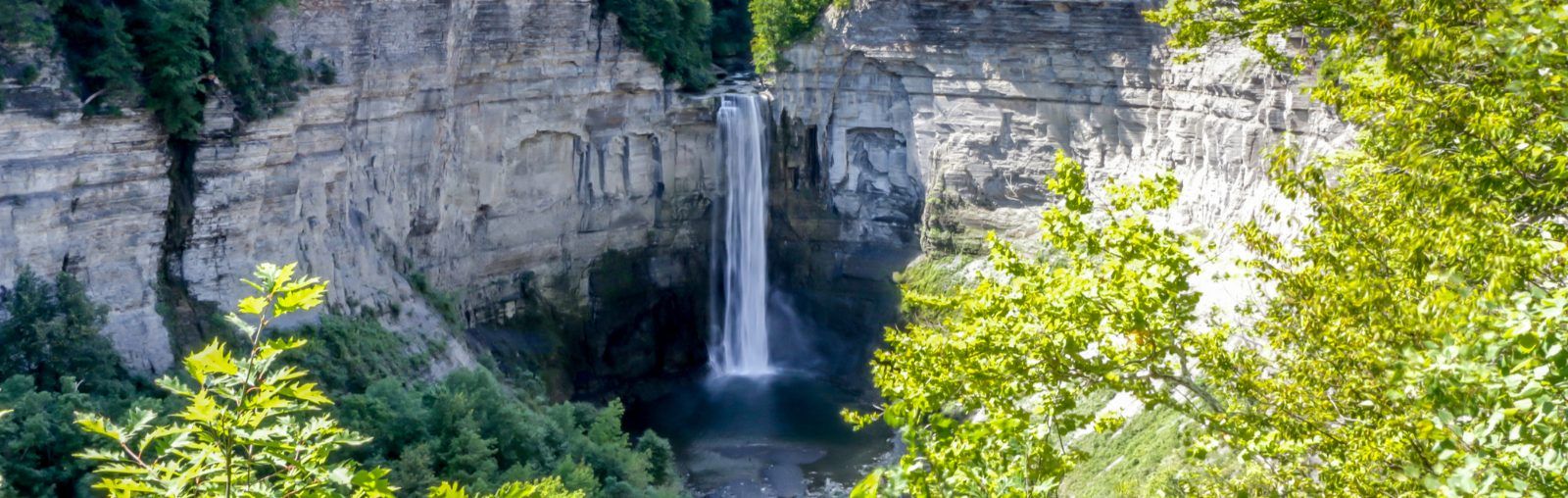 An image of The Hotel Ithaca in Ithaca NY