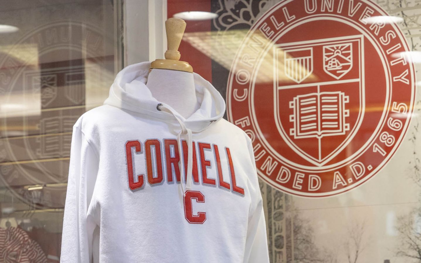 A mannequin wearing a Cornell sweatshirt in the display window of the Cornell University bookstore