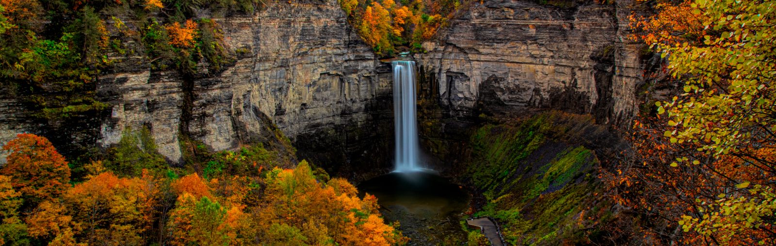 An image of The Hotel Ithaca in Ithaca NY