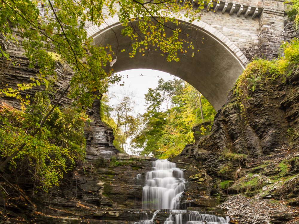 An image of The Hotel Ithaca in Ithaca NY