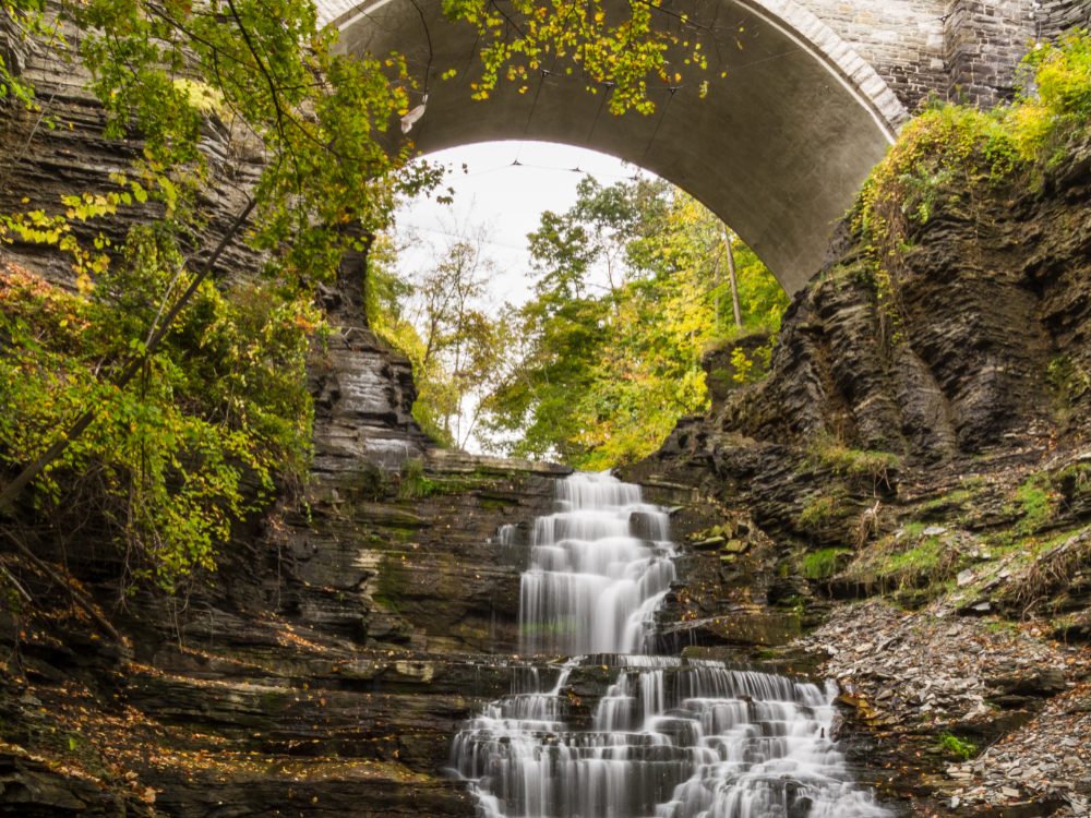 An image of The Hotel Ithaca in Ithaca NY